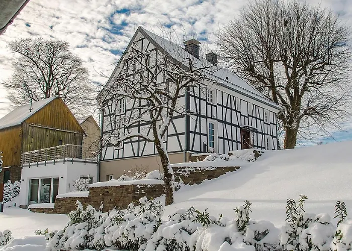 Luxus-ferienhaus Hassel 14